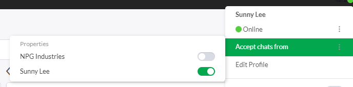 Tawk.to工具使用攻略 - 领动云平台